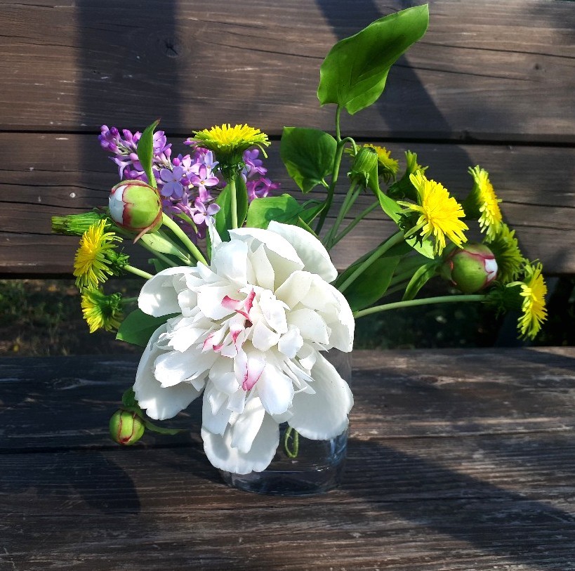 Assorted cold porcelain flowers - My, Needlework without process, Cold porcelain, Flowers, Video, Longpost