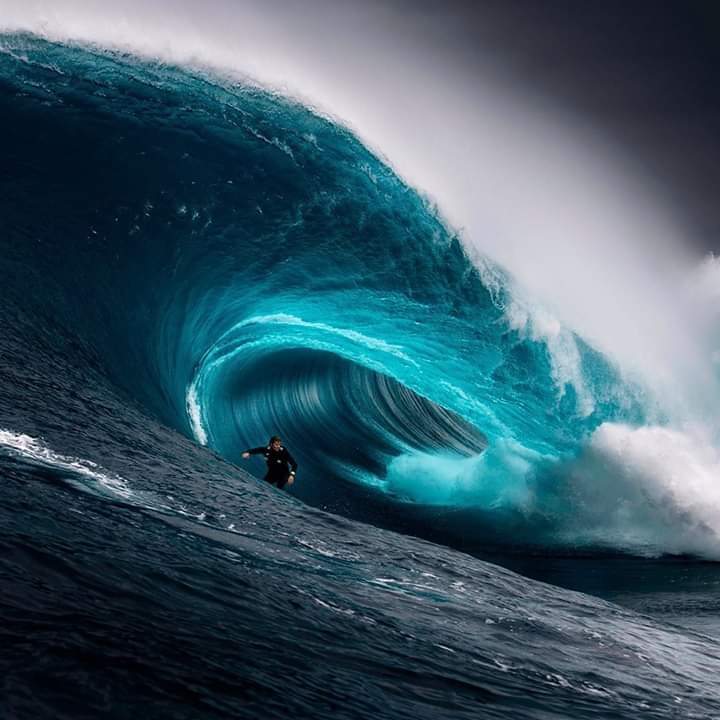 Wave Conqueror - Wave, Ocean, The photo, Surfer, Reward