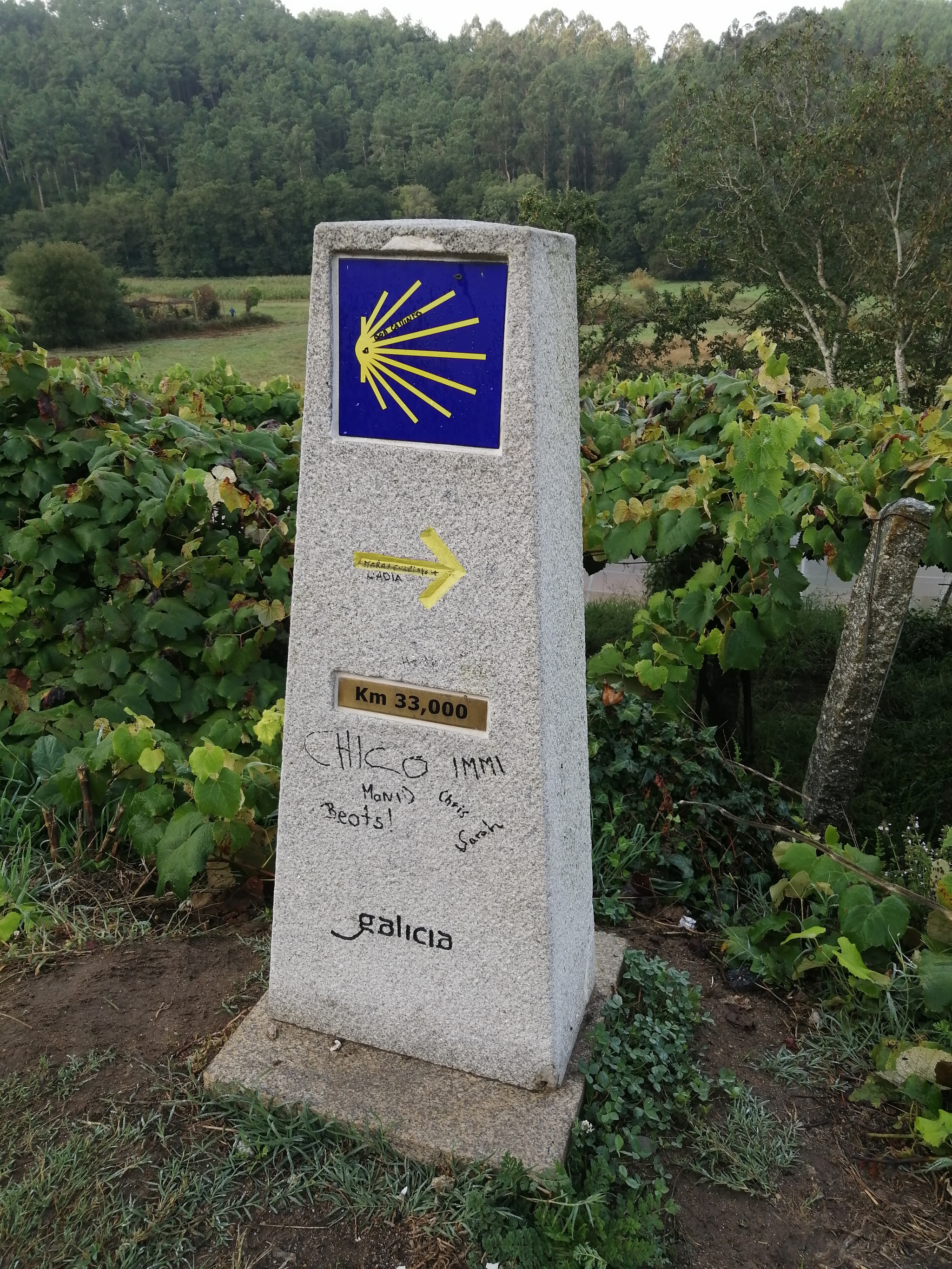 Camino de Santiago. Part seven - how I died, we were late, but everything ended well - My, Travels, Camino, Santiago's Way, El camino, Spain, Longpost