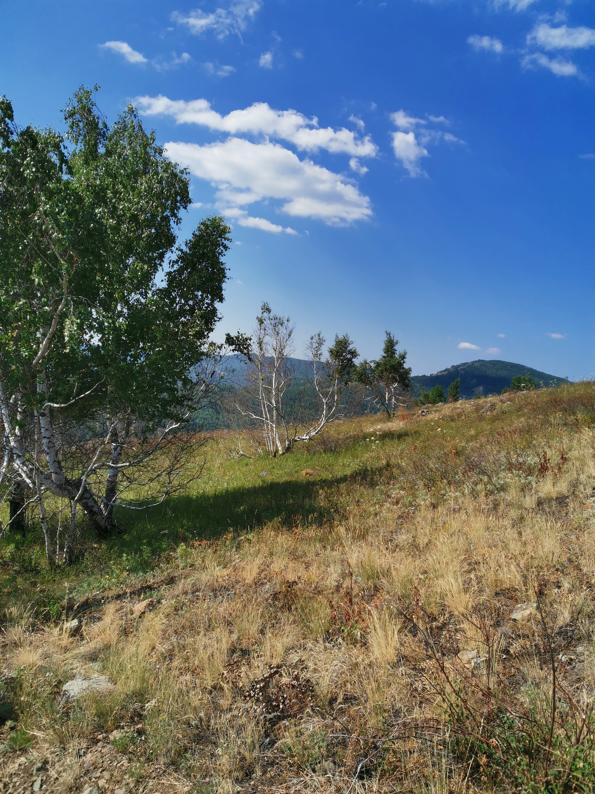 Mount Kushay is one of the highest peaks of the Kryktytau ridge - My, Southern Urals, The photo, Nature, The mountains, Travels, Longpost