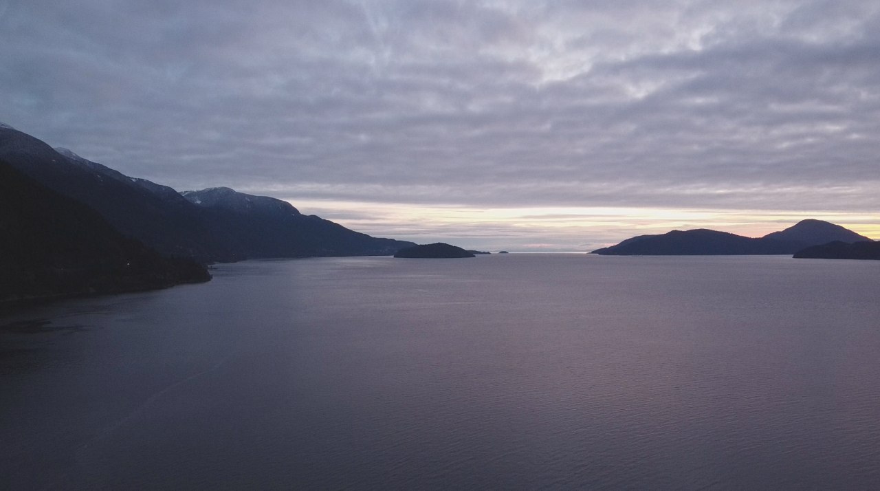 A Few Species of British Columbia - My, The photo, Canada, British Columbia, DJI Mavic, The mountains, Ocean, Road, Longpost