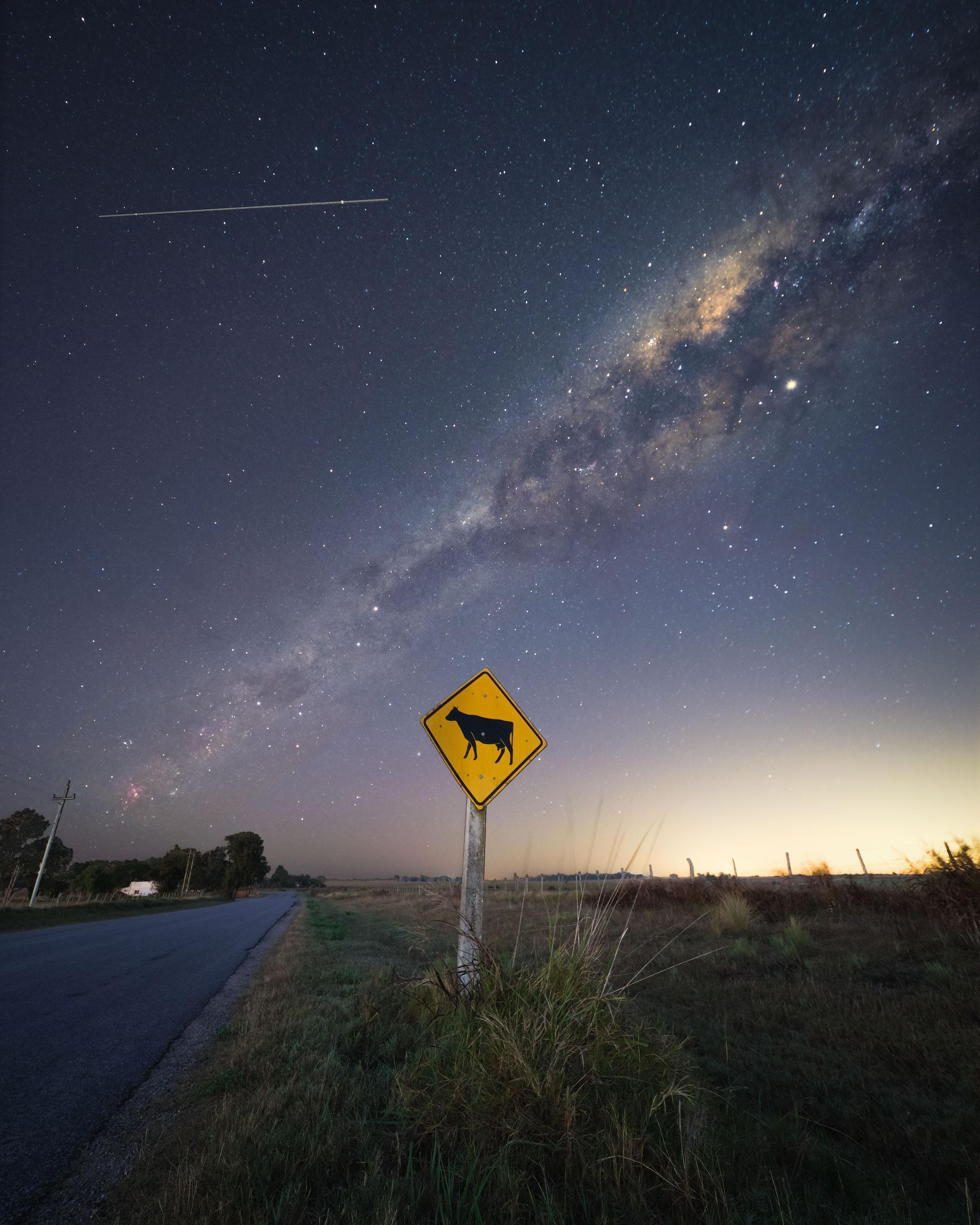 Beware of cows and space stations - The photo, Astrophoto, Milky Way, ISS, Road sign, Contrast, Uruguay, Combined shooting