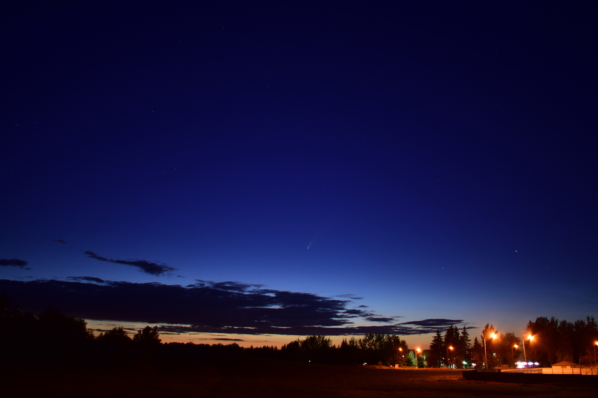 Caught the tailed one! - My, Comet, Astronomy, Longpost, Neowise