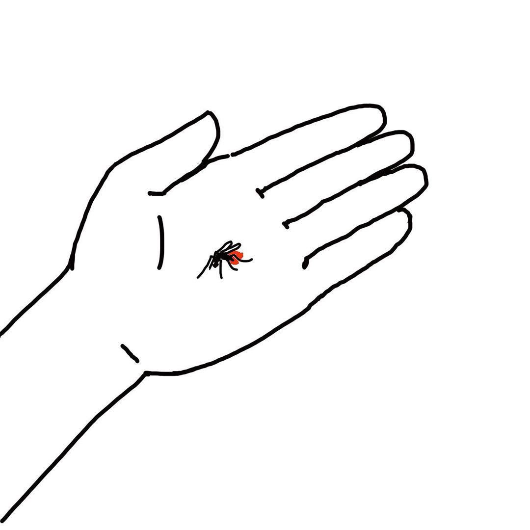 I hate mosquitoes! - Tango Gao, Humor, Hit, Mosquitoes, Longpost