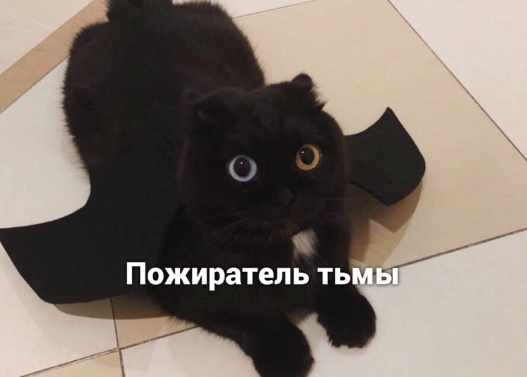 devourer - cat, Picture with text, Longpost, Black cat, Humor