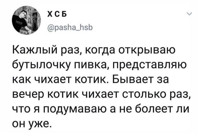 Пиво - Скриншот, Twitter, Ассоциации, Чиханье, Кот, Пиво