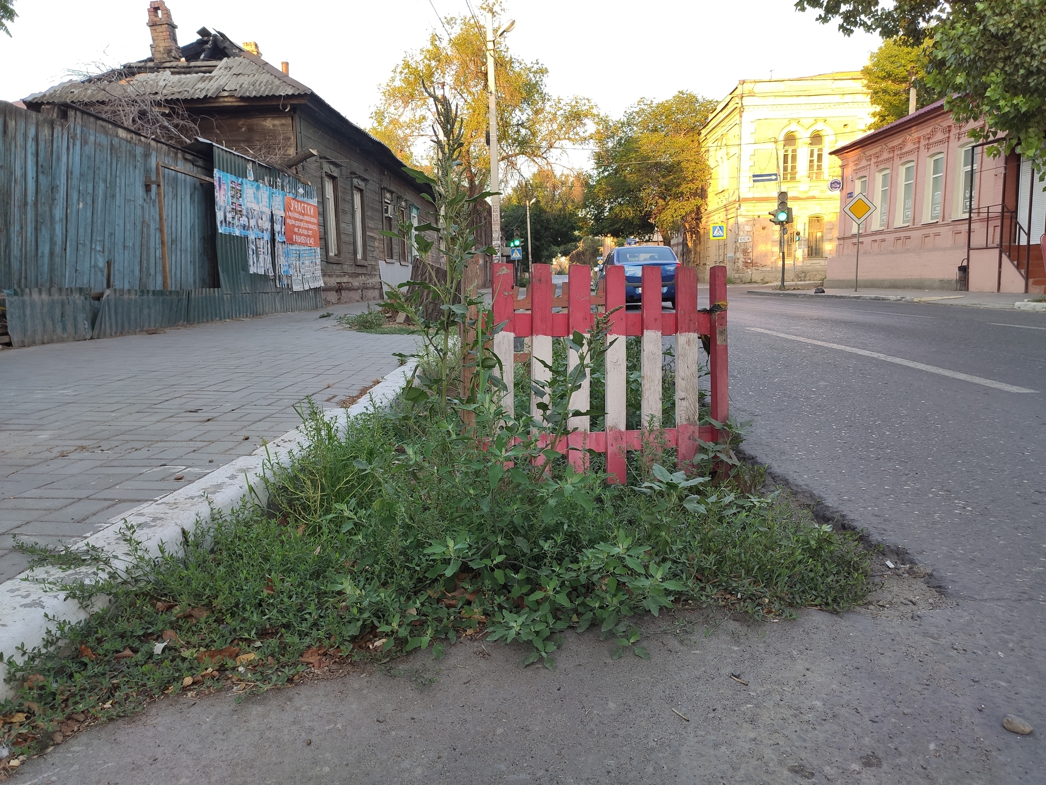 There is such a shortage of asphalt in Astrakhan! - My, Astrakhan, Russian roads, Flower bed, Pit, Longpost