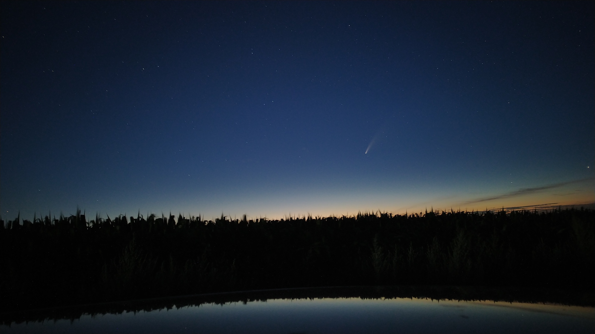 Caught a comet - My, Comet, Neowise, Xiaomi Redmi Note 7