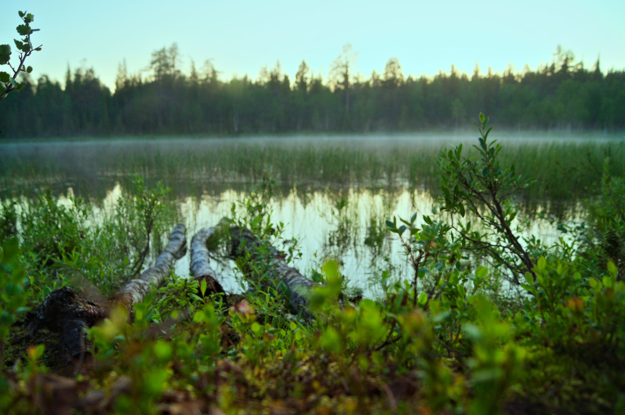 Urho Kekkonen kansallispuisto (national park) - Моё, Лапландия, Поход, Фотография, Природа, Длиннопост