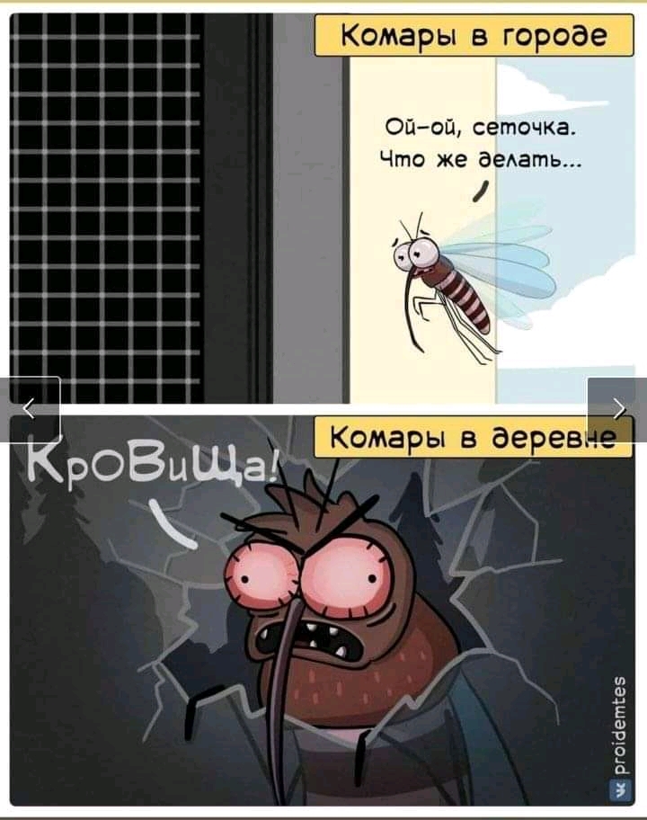 Mosquitoes - Mosquitoes, Village, Window, Tired of