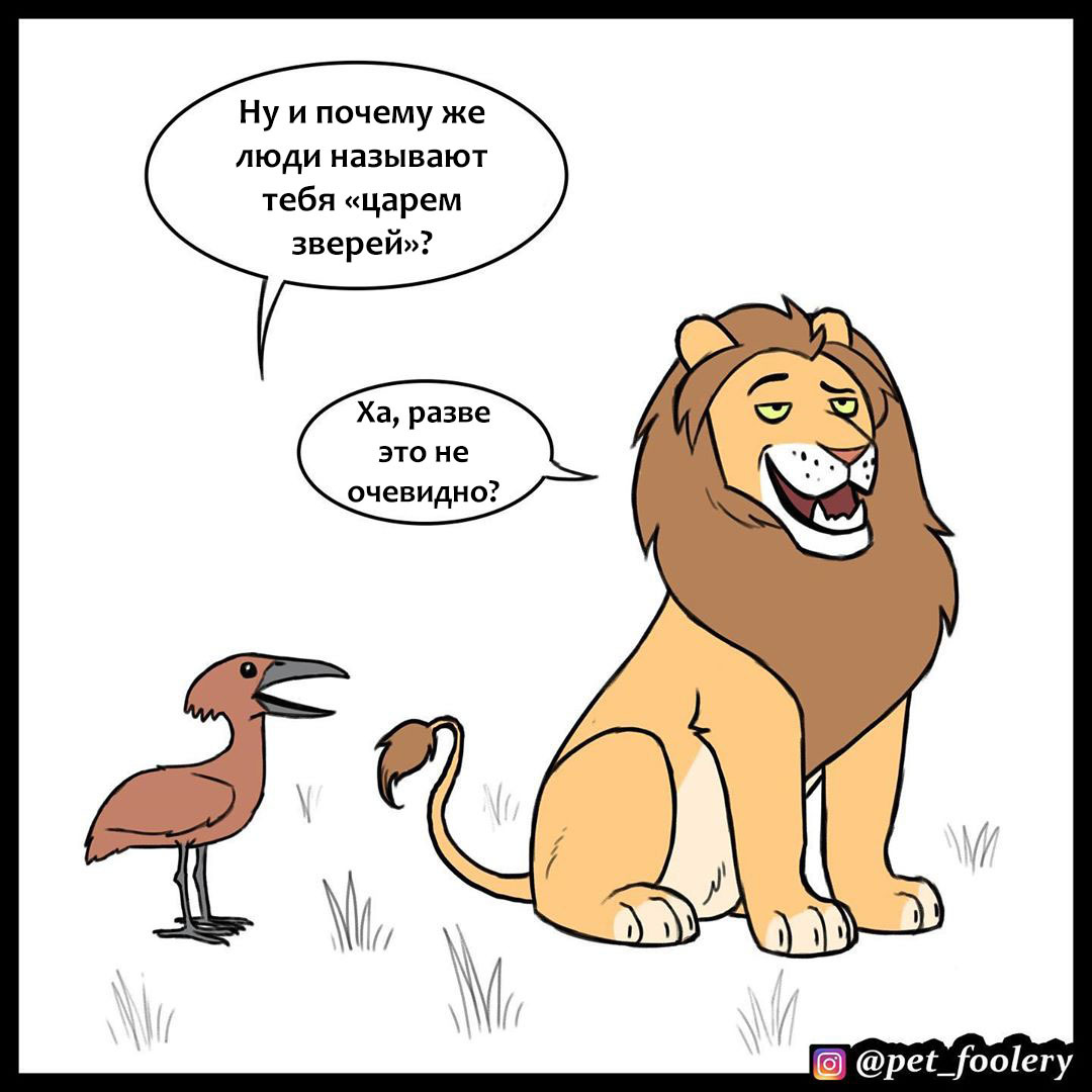 King of beasts - Pet foolery, Comics, a lion, Longpost