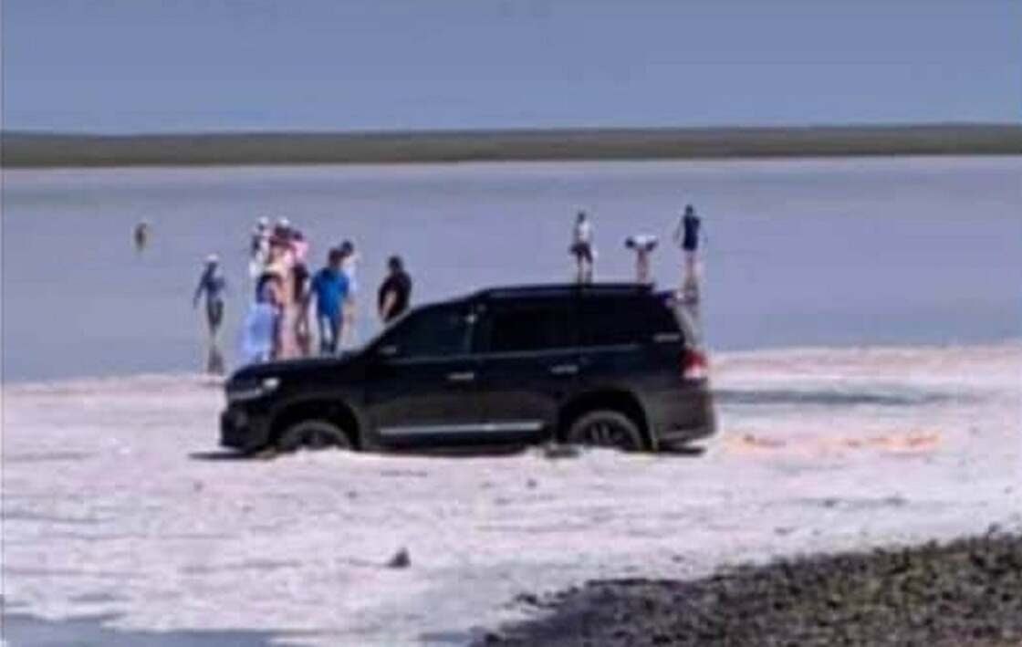 Lake vs Cattle - Kazakhstan, Lake, Negative, Cattle, Longpost, Mat