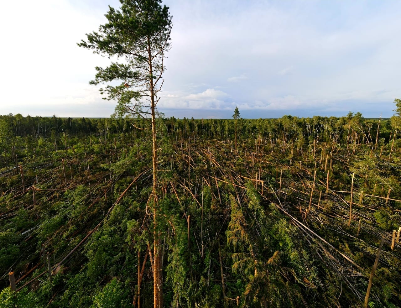 Consequences of a tornado in the Kolomensky district - Nature, Natural disasters, Tornado, Images, Longpost