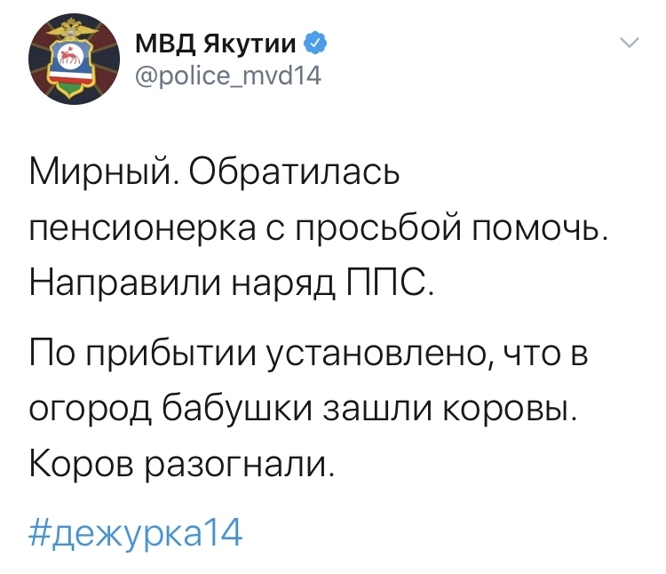 Official Twitter of the Ministry of Internal Affairs of Yakutia. Part 3 - Ministry of Internal Affairs, Yakutia, Twitter, Funny, Video, Longpost, Screenshot, A selection