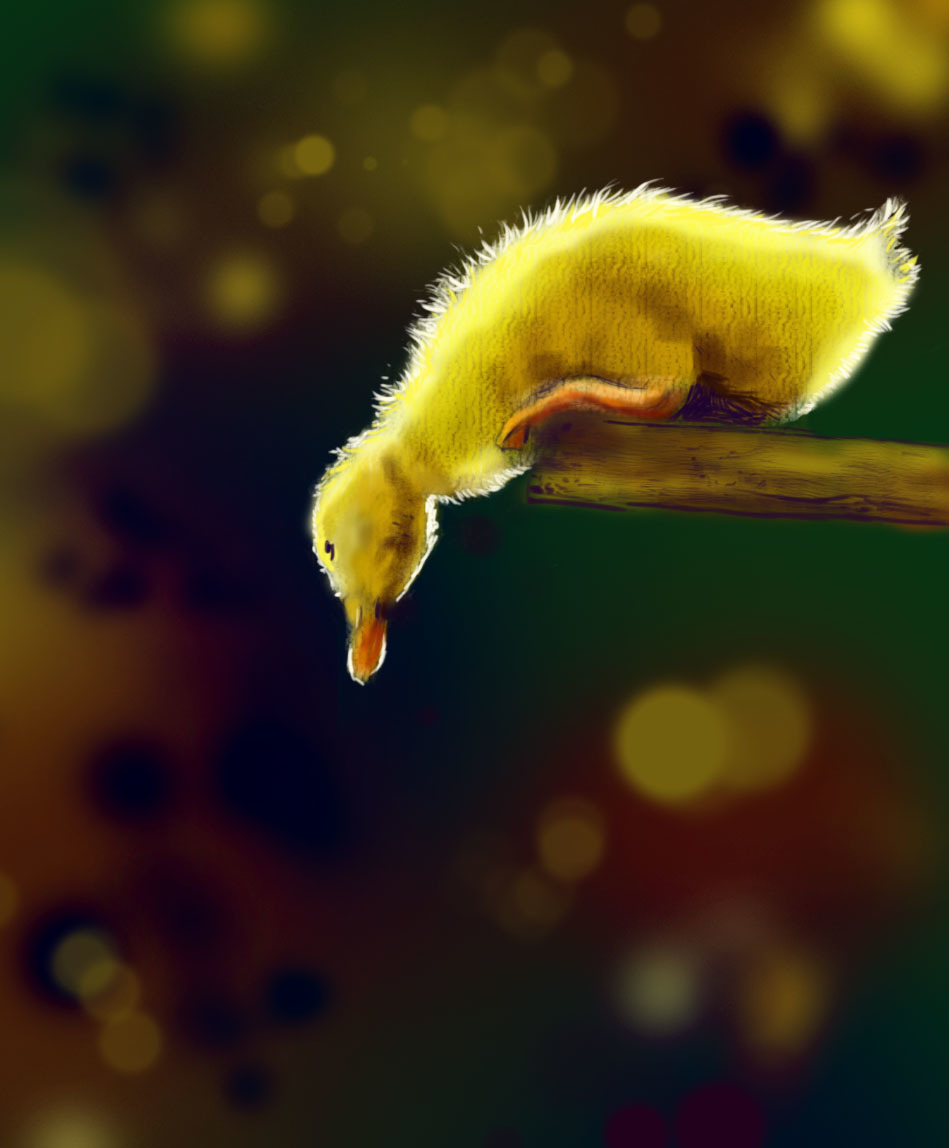 Duckling - My, Art, Digital drawing, Wacom, Photoshop, Animals