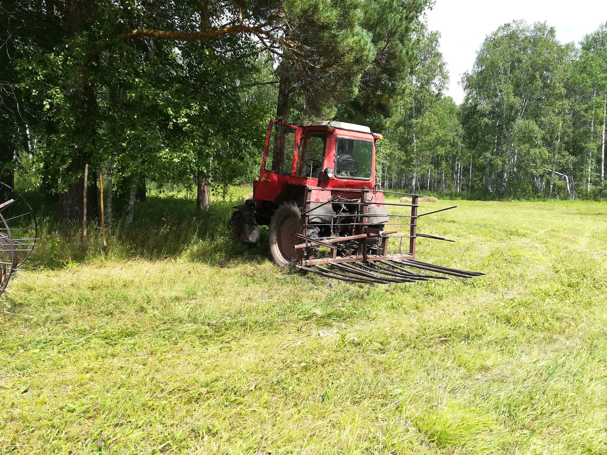 Last mowing - My, Summer, Mowing, Mushrooms, Nature, Longpost