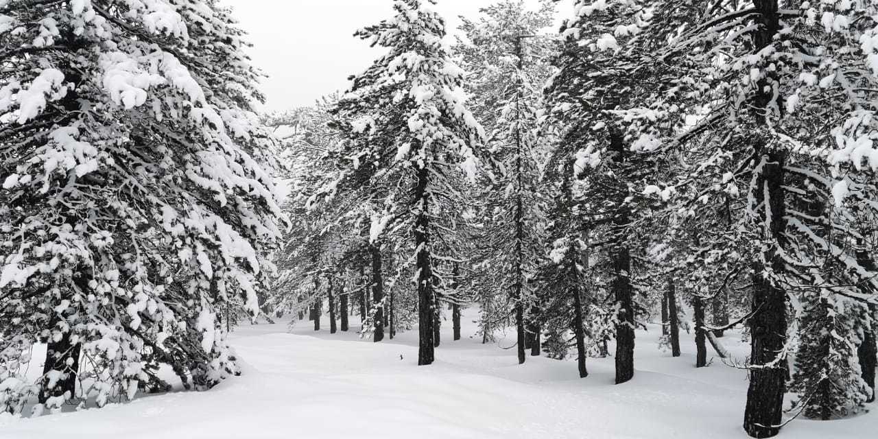 A little cool... - My, Winter, The mountains, Cyprus, Longpost