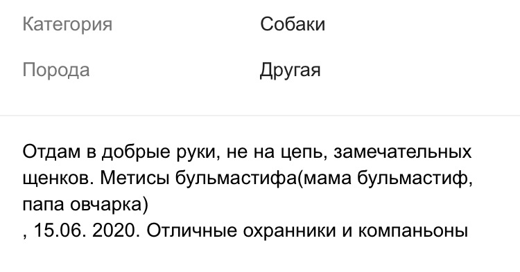 Авито - Тиндер для собак - Моё, Авито, Объявление на авито, Собака, Длиннопост