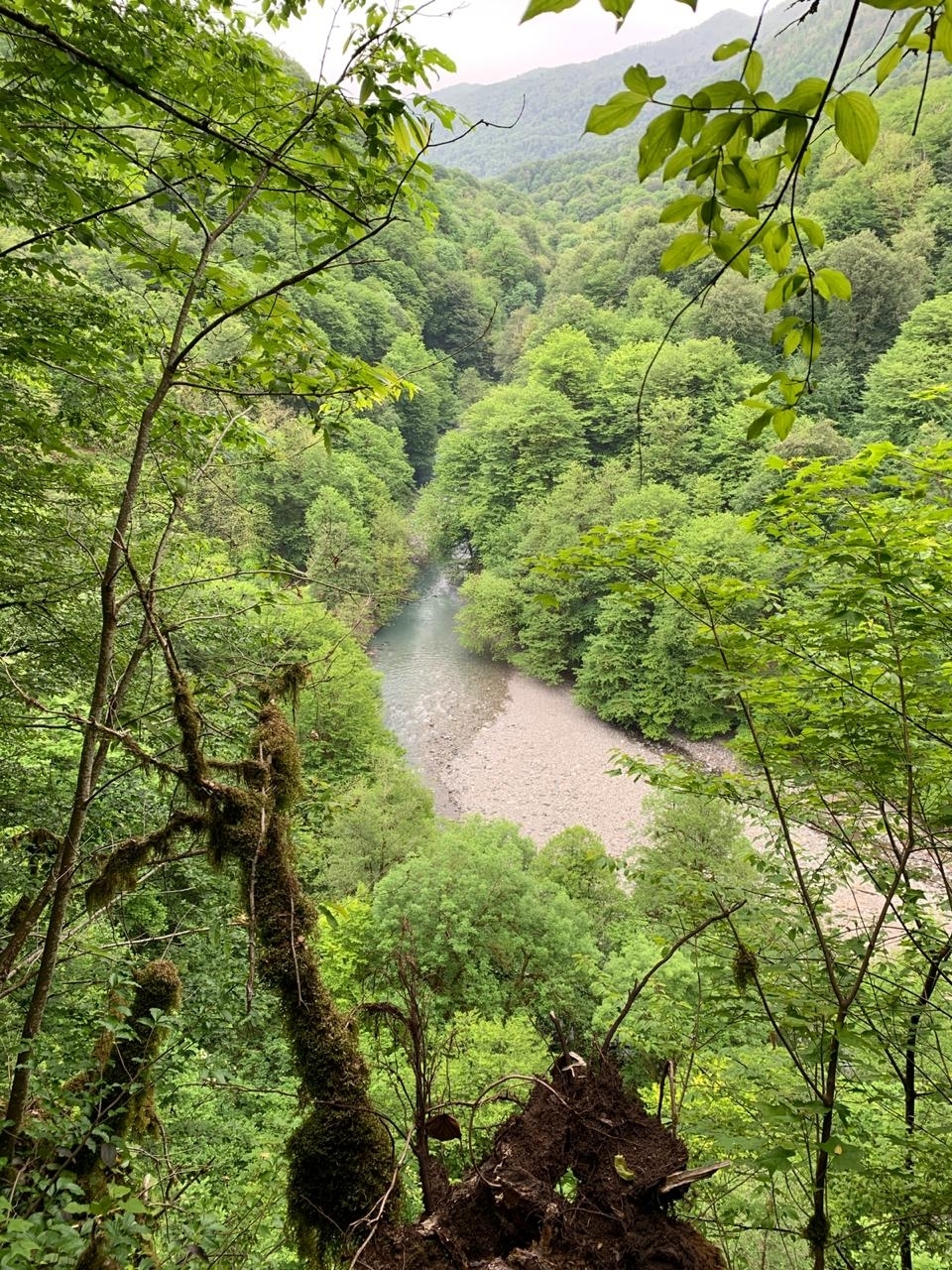 Walk to the Upper Azhek waterfall - My, Hiking, Sochi, Waterfall, Nature, Longpost