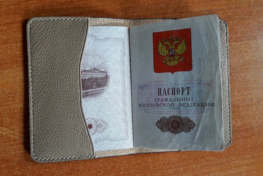 Passport cover - My, Needlework without process, Cover, Leather, With your own hands, Totoro, Longpost