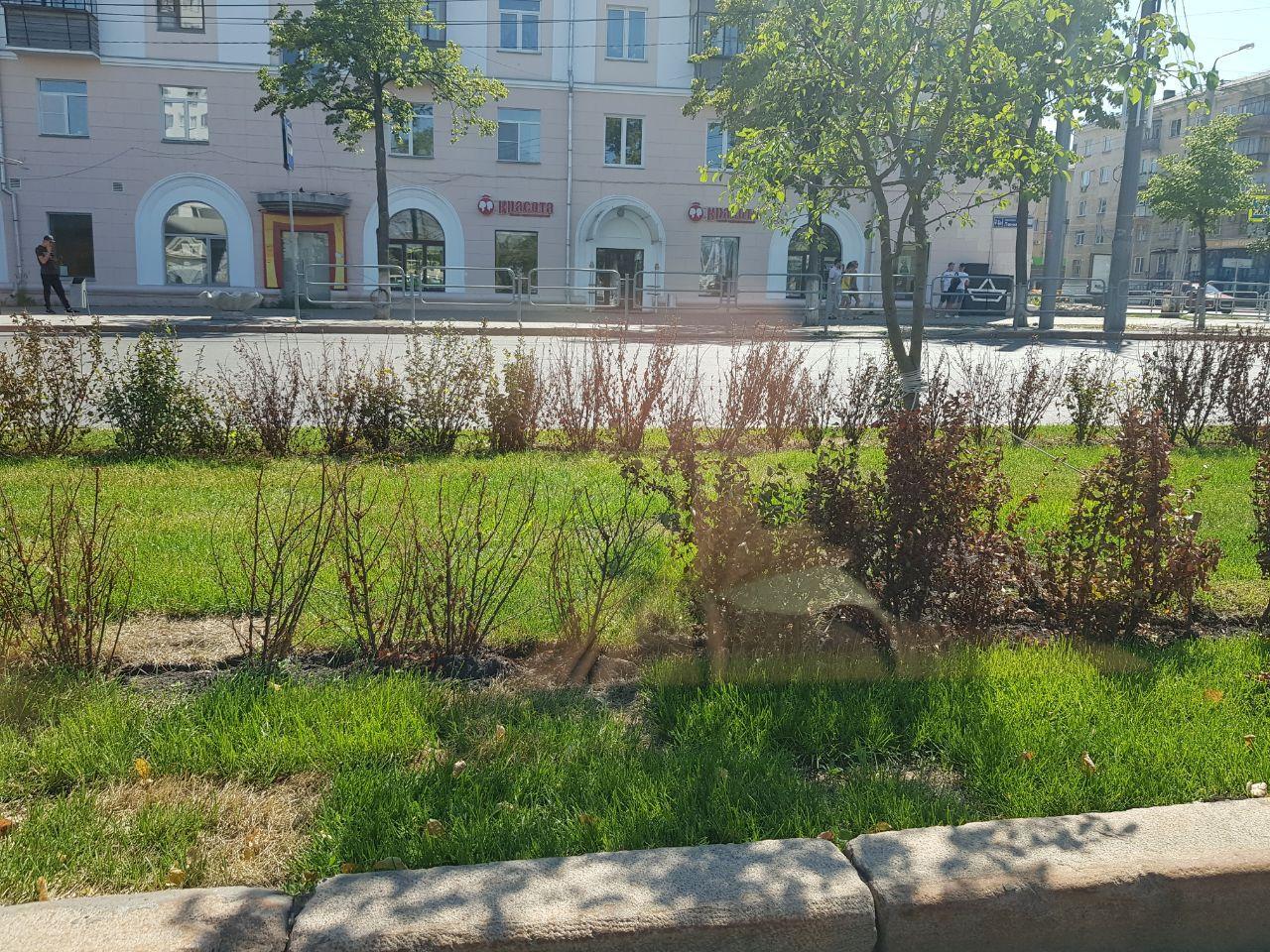 Censorship on Greening - Chelyabinsk, Corruption, Politics, Landscaping, In succession, Tender, Exposure, Chelyabinsk urbanist, Mat, Video, Longpost