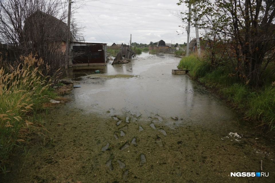 Omsk Atlantis: a holiday village has been under water for five years and looks like footage from The Witcher - news, Ngs, Society, Omsk, Longpost