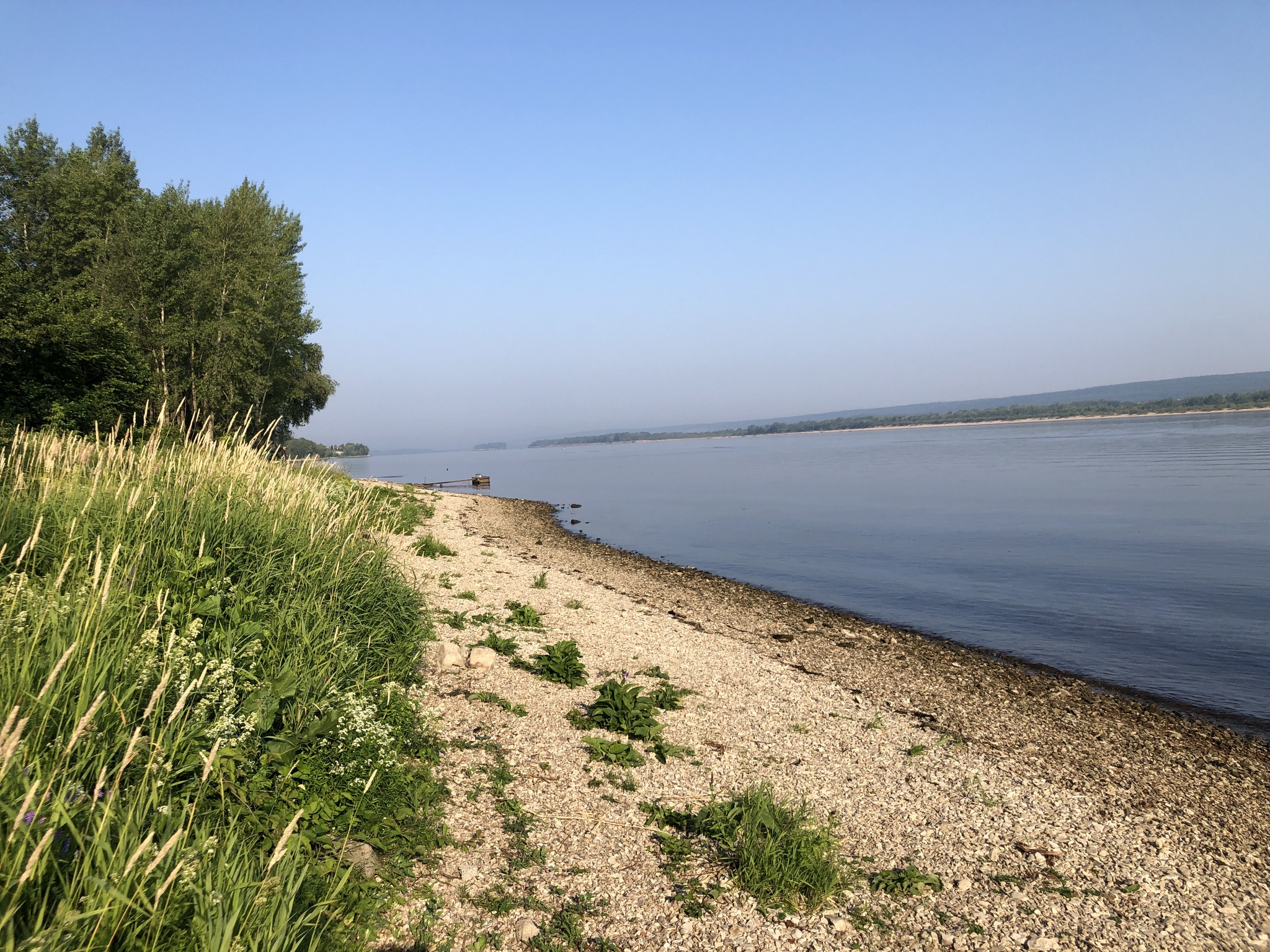 Morning on the Volga - My, Morning, Summer, Nature, The photo, Longpost, Volga river