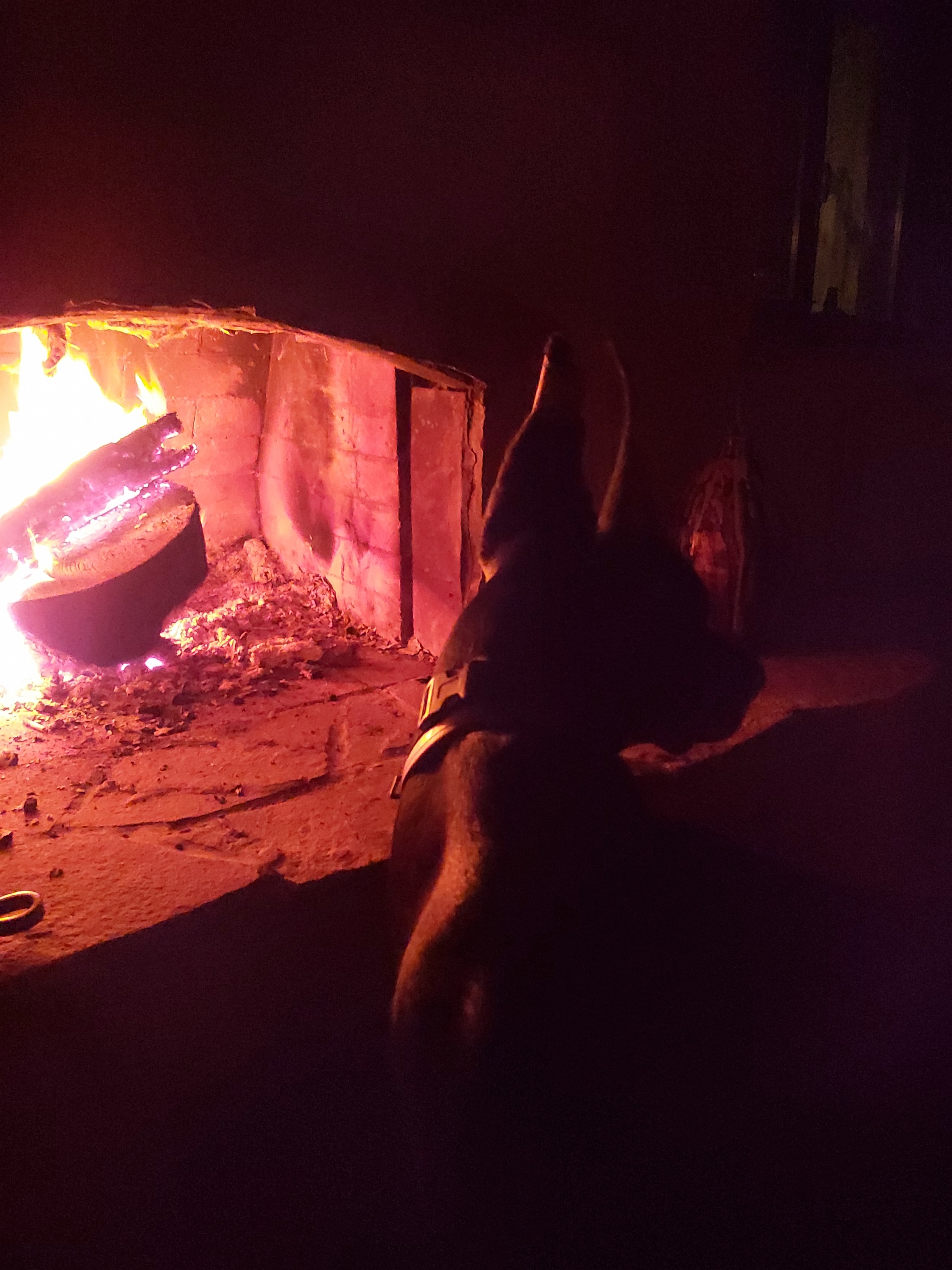 Anubis visiting Hephaestus - My, Doberman, Fire, Dog