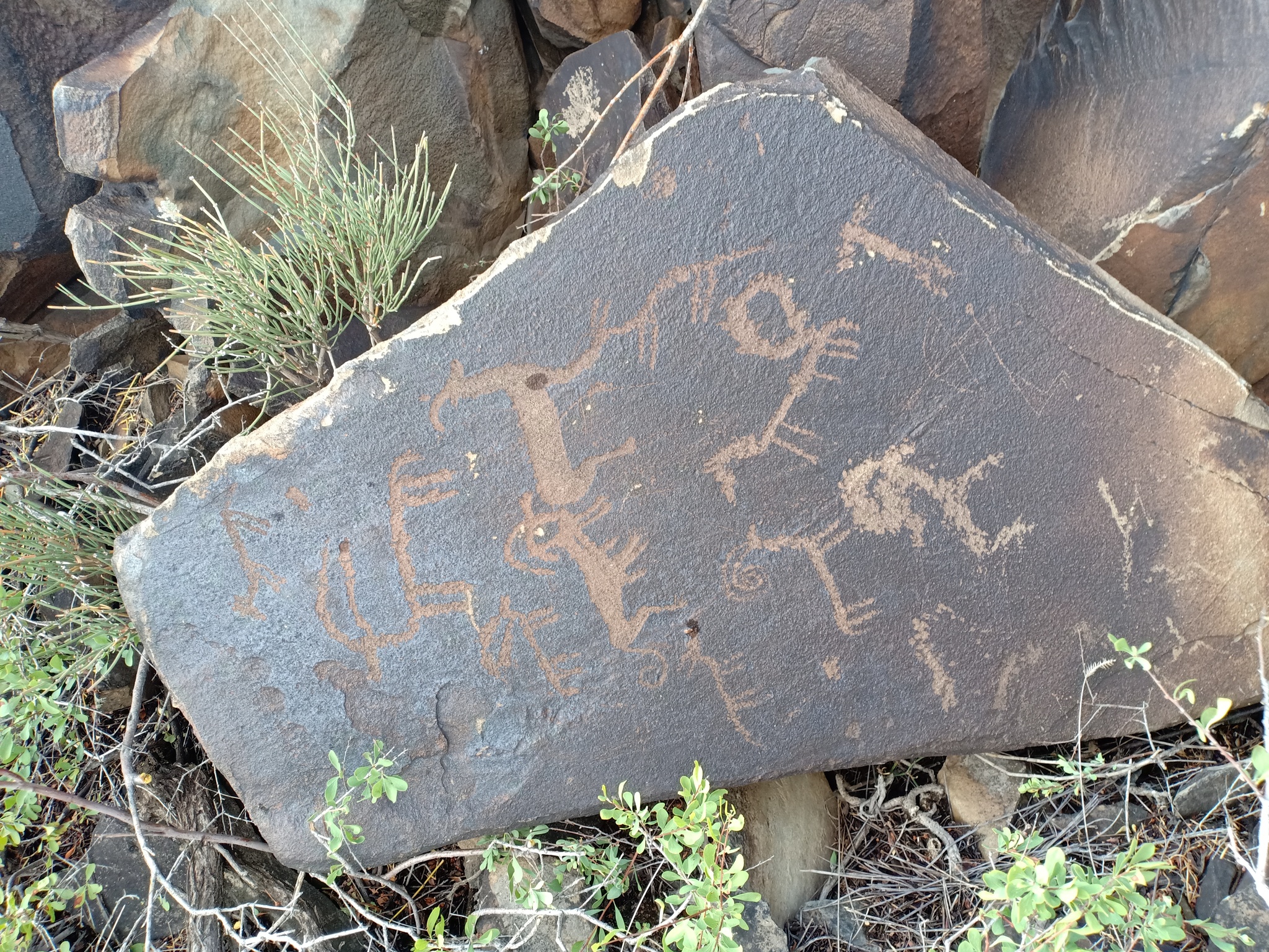 Rock paintings of East Kazakhstan region - My, Rock painting, Kazakhstan, East Kazakhstan, Nature, Tourism, Walk, beauty, Longpost