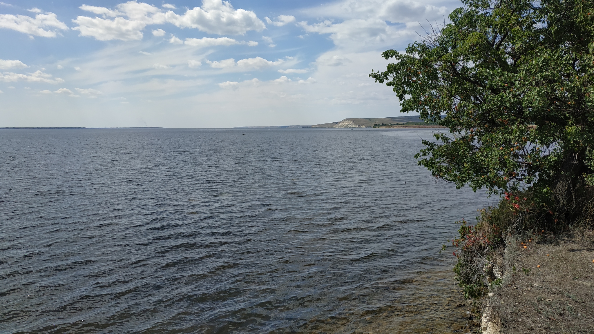 A couple of photos from vacation. Kamyshin - My, Kamyshin, The photo, Nature, Longpost, Volga river