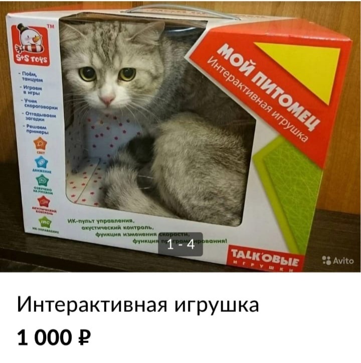 Интерактивная игрушка - Кот, Игрушки, Коробка, Авито