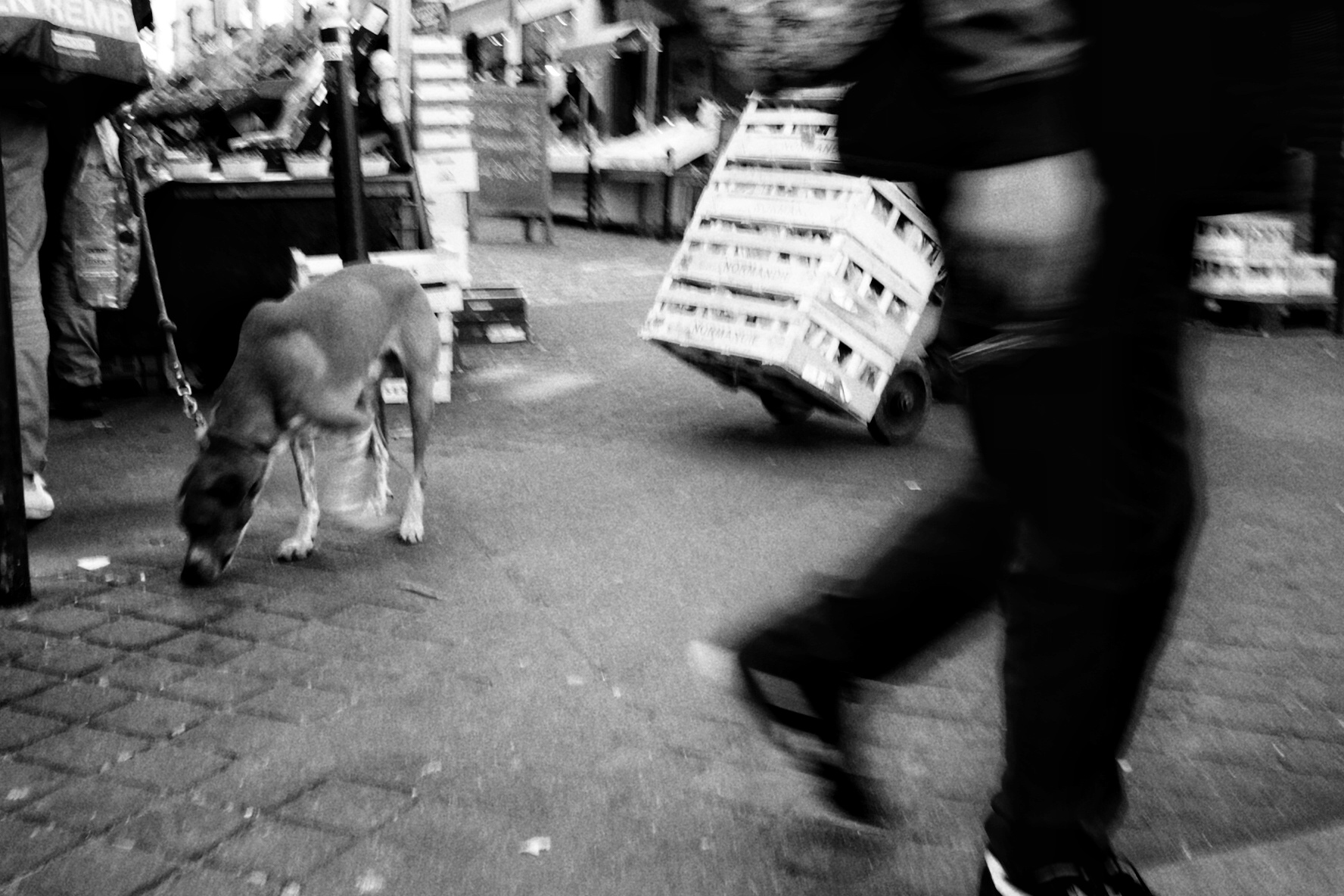 My street photography - My, The photo, Straight, Paris, Beginning photographer, Longpost, Fuck aesthetics