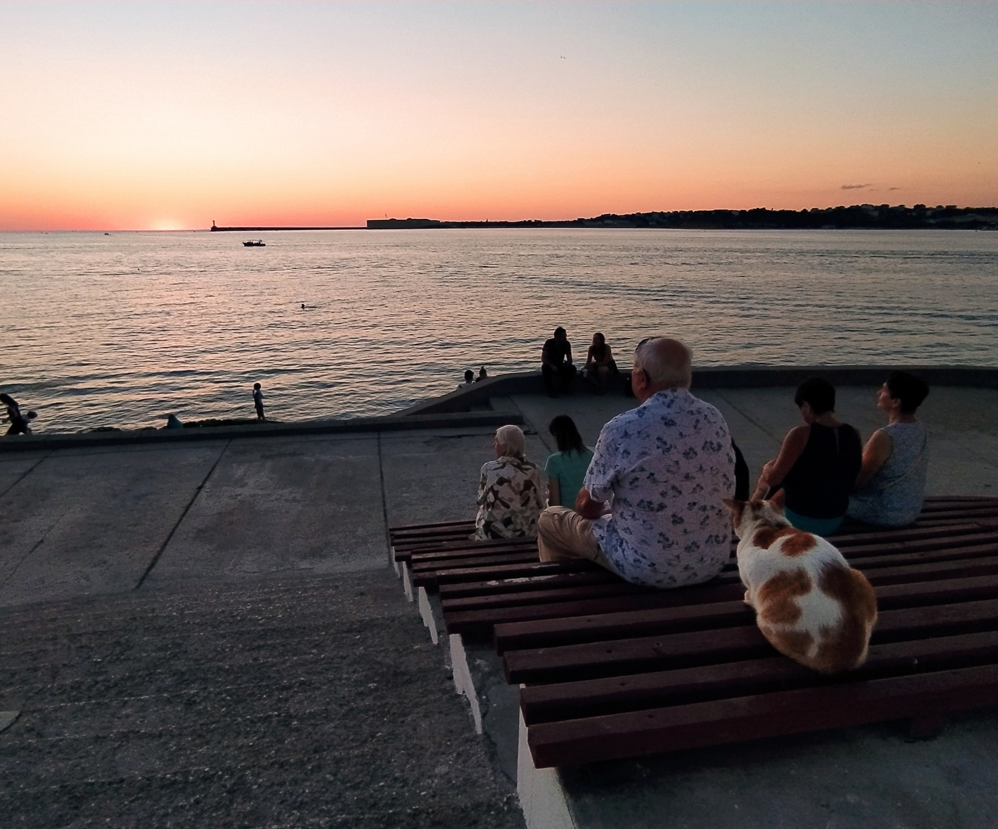 Cat and sunset - My, Sevastopol, cat, Sunset, Sea