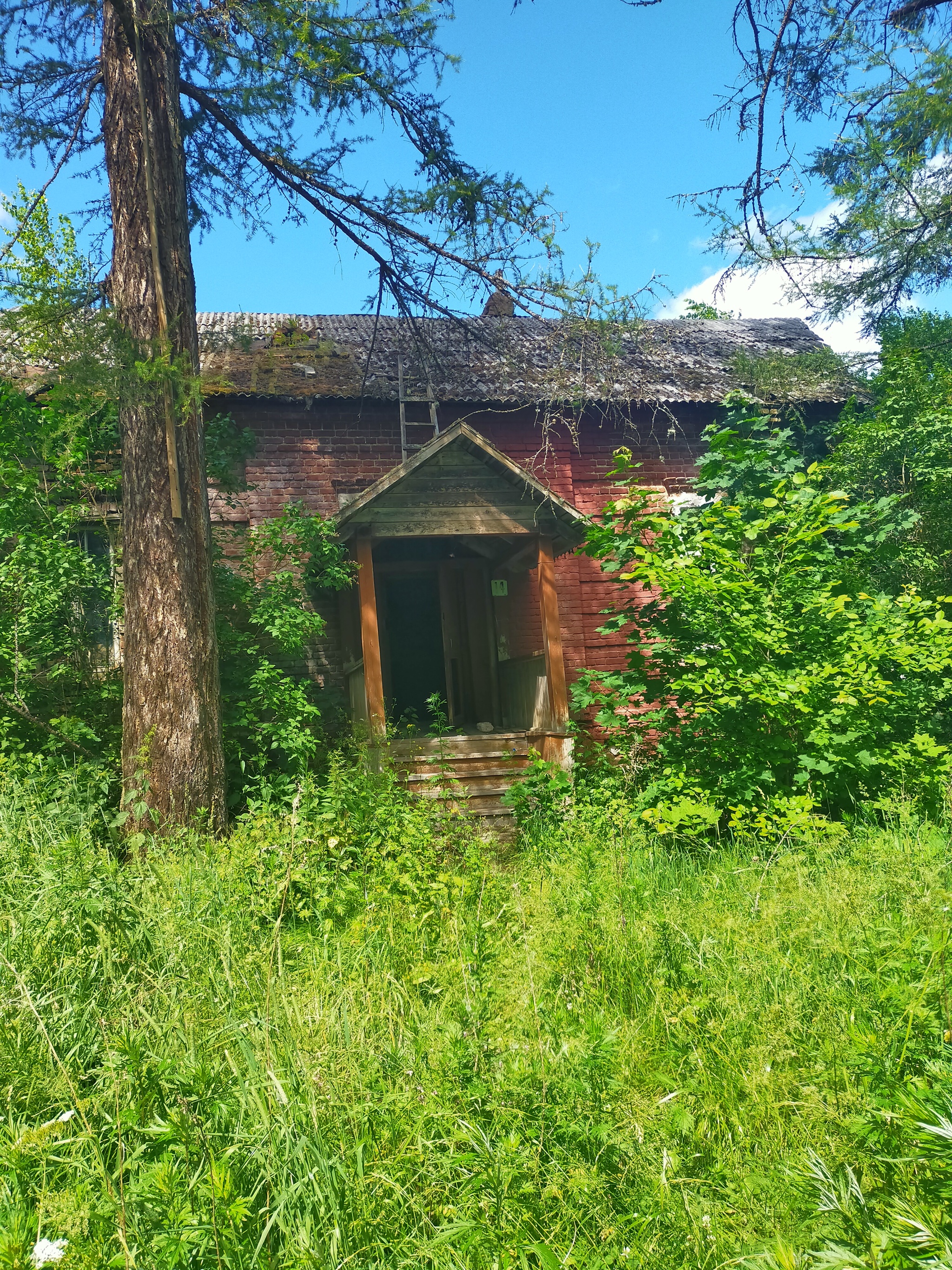 Abandoned manor of Snazin Hasler - My, Abandoned, Travel across Russia, Tver region, Travels, Stalker, Longpost