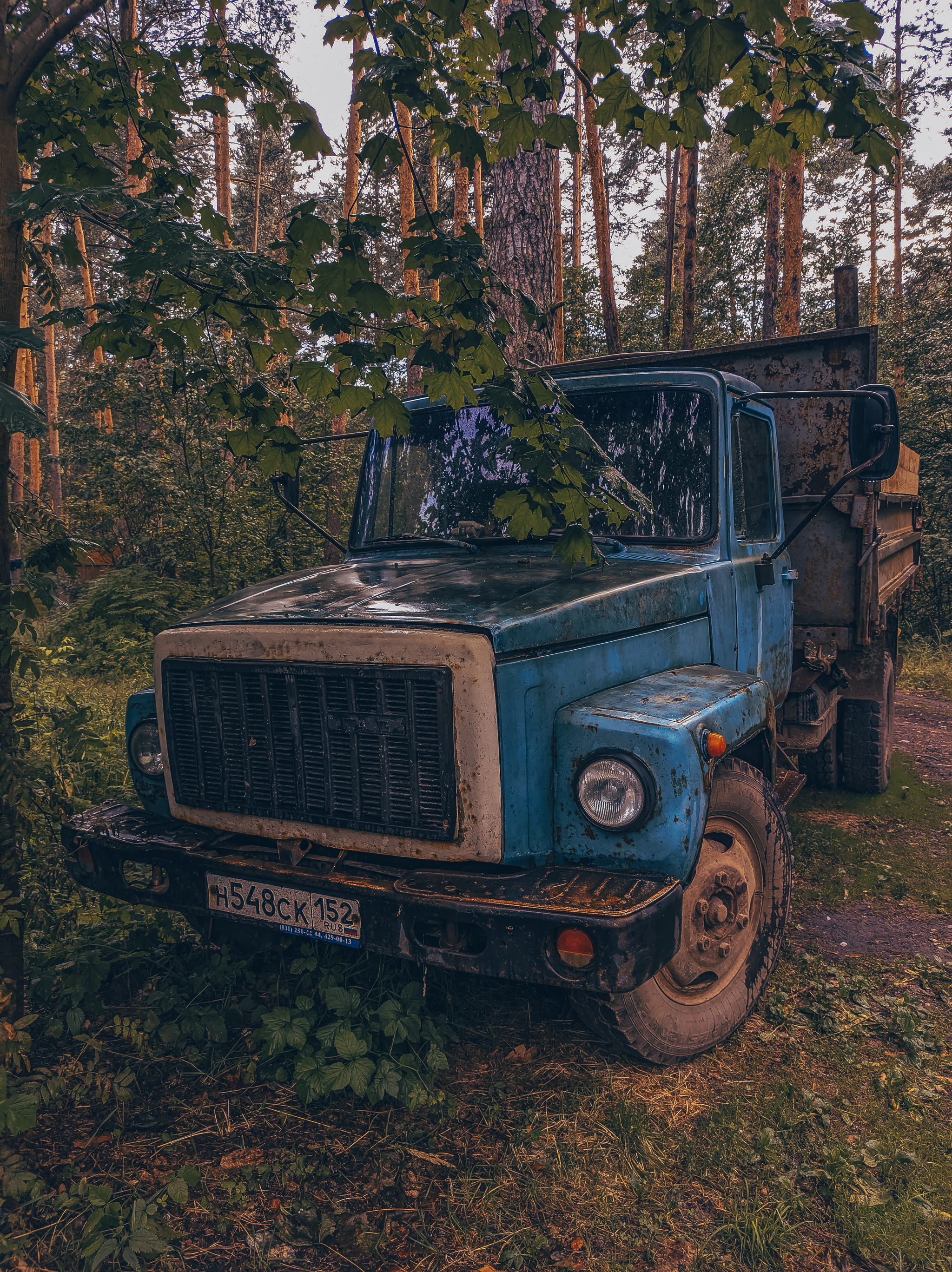 Calmness, peacefulness and beauty in the ordinary - My, Nature, Car, Truck, Cherry, A rock, The photo, Water, Longpost