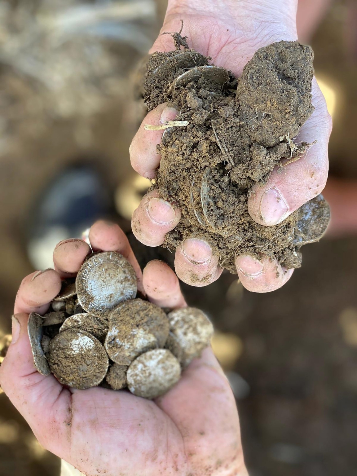 Treasure hunters found an ancient treasure near the bar - news, Lenta ru, Society, Treasure, Longpost