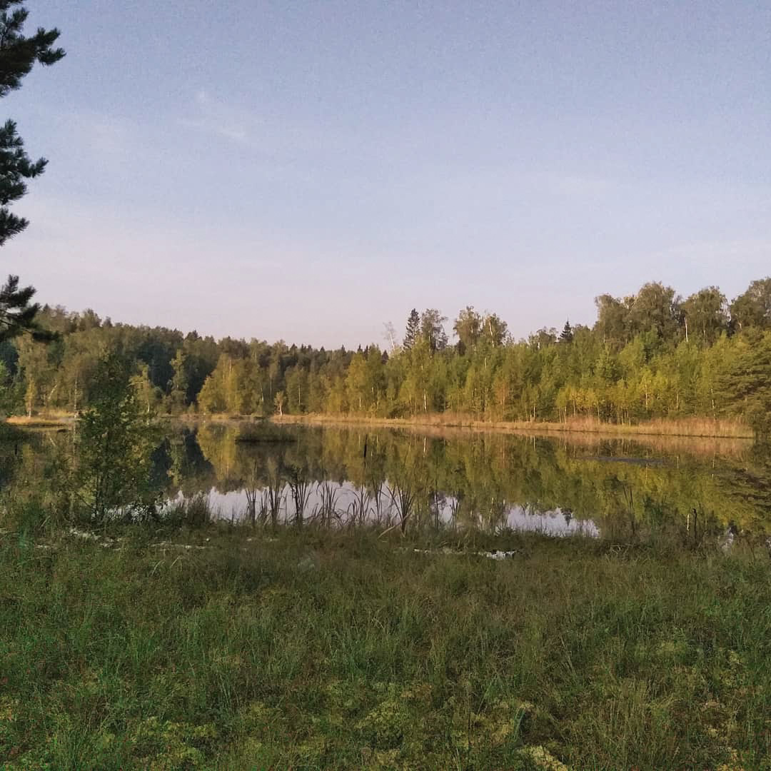 Forest paths - My, Hiking, Forest, Weekend travel, Travel across Russia, Lake, Leisure, Camping, Longpost