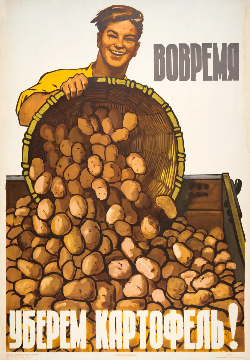 And then August came! - August, Potato, Cleaning, Soviet posters, Agitation