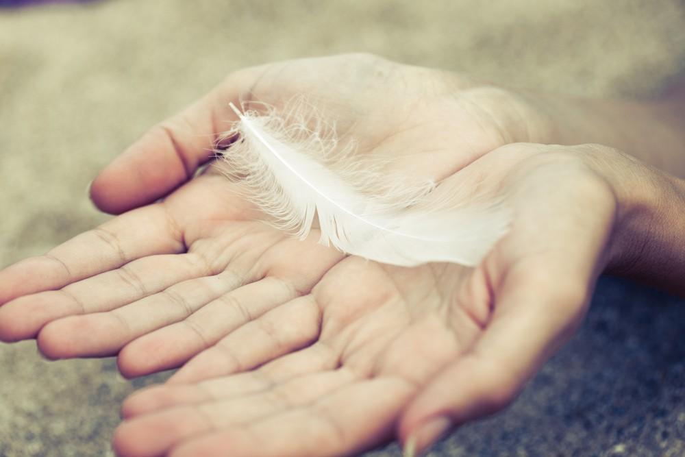 A pigeon feather fell... - My, Poetry, Favorite, Feather, Poems