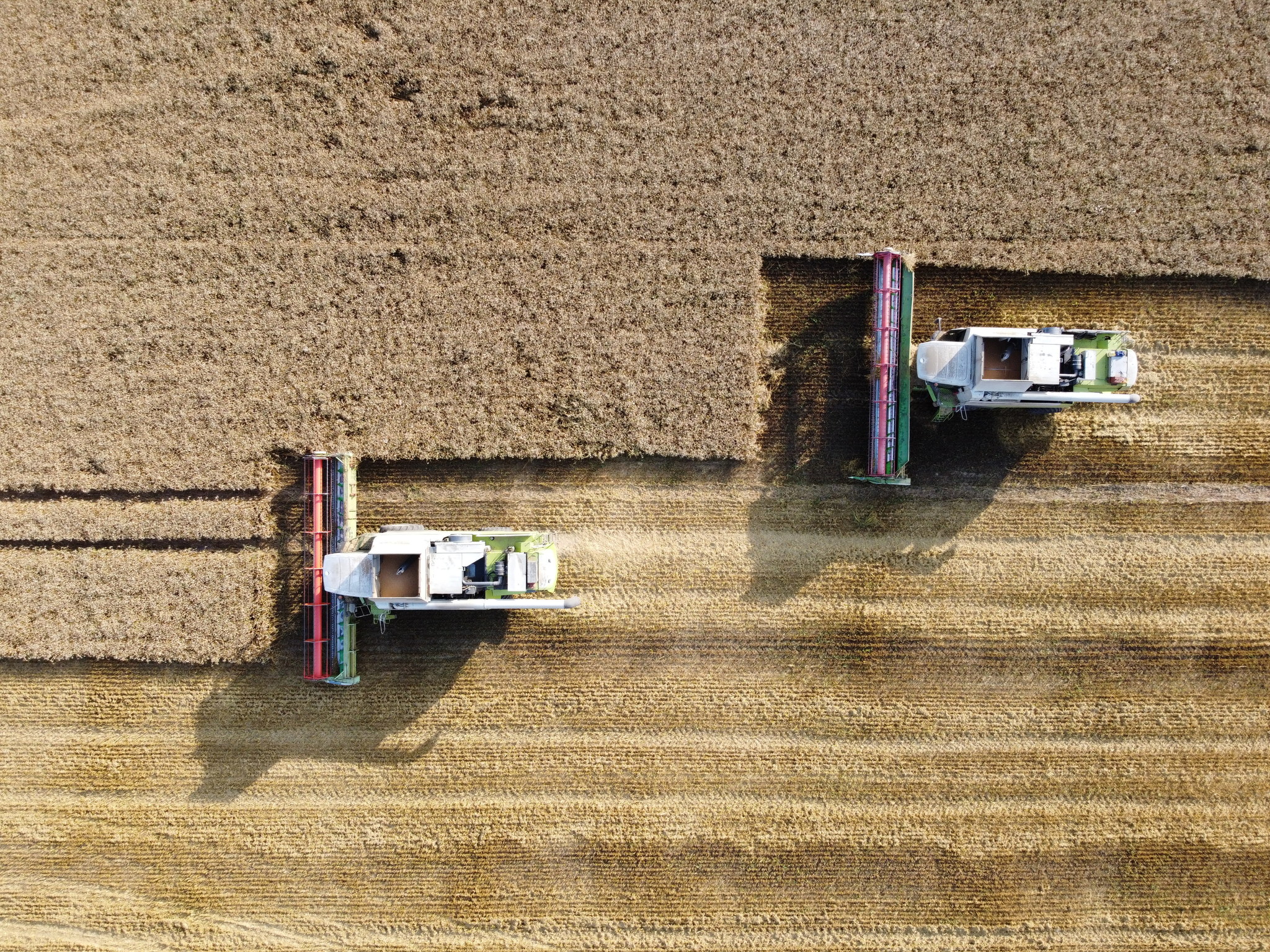 Harvesting or spontaneous rides on the combine - My, Combine harvester, Harvest, The photo, DJI Mavic, Longpost