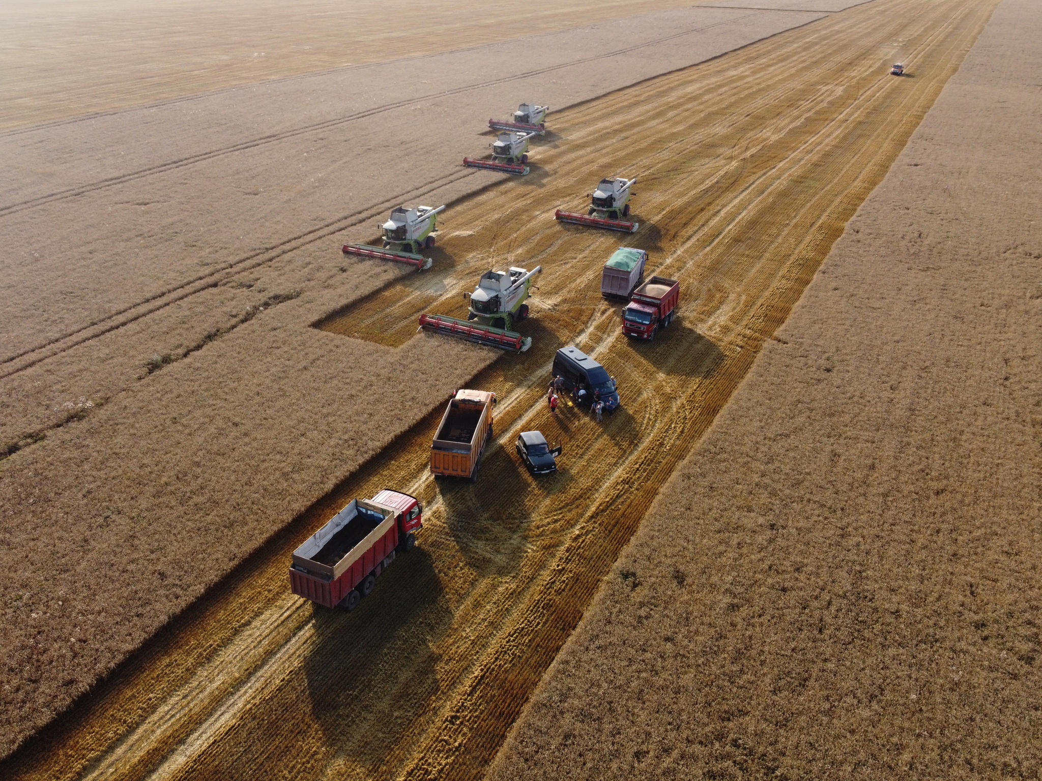 Harvesting or spontaneous rides on the combine - My, Combine harvester, Harvest, The photo, DJI Mavic, Longpost