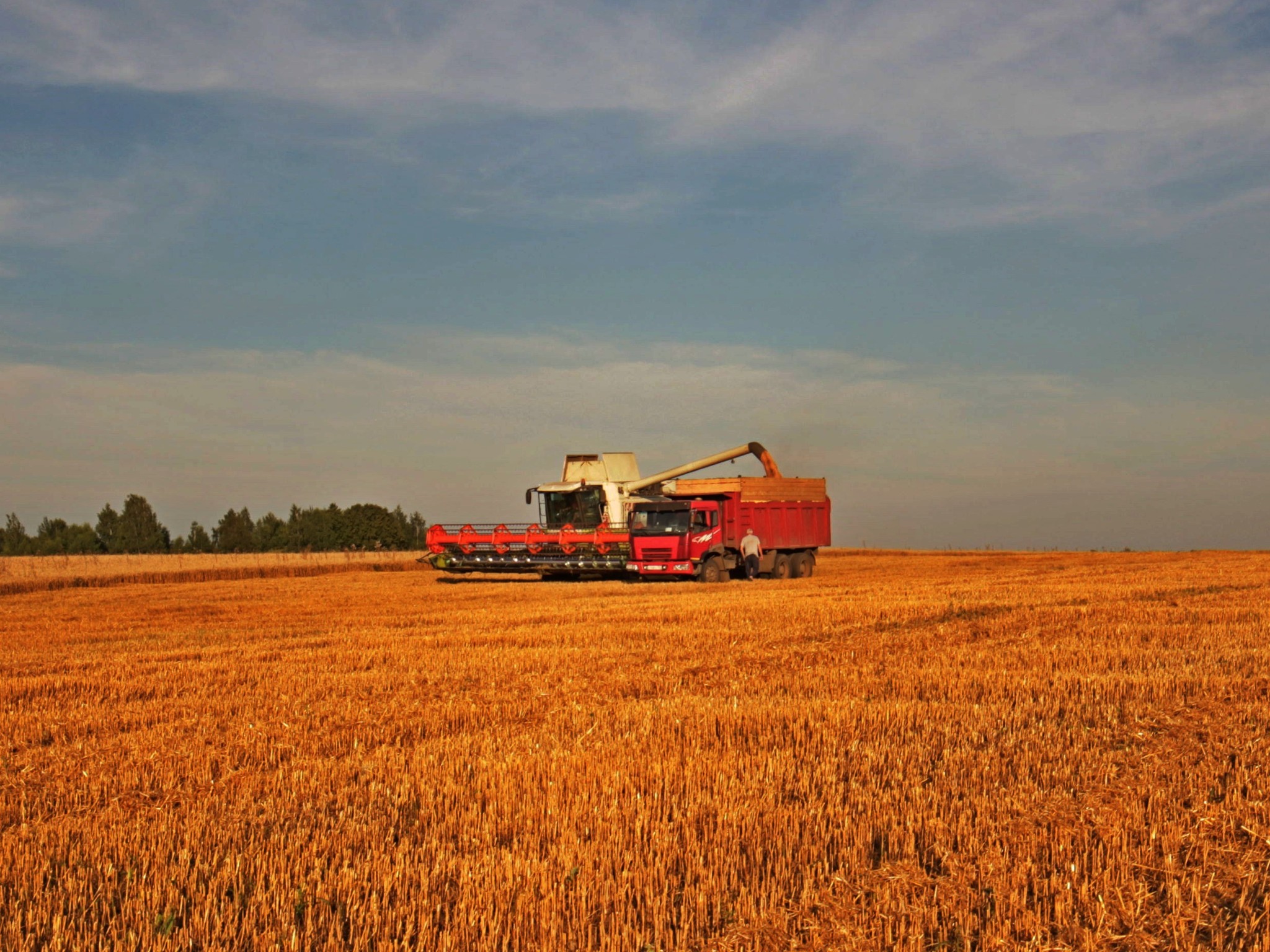 Harvesting or spontaneous rides on the combine - My, Combine harvester, Harvest, The photo, DJI Mavic, Longpost