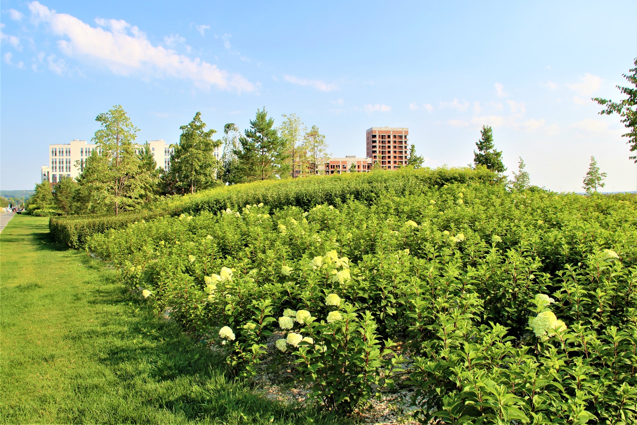 The place in Yekaterinburg where vandalism was defeated - Yekaterinburg, Solution, Town, Beautification, Longpost, The photo, Advertising