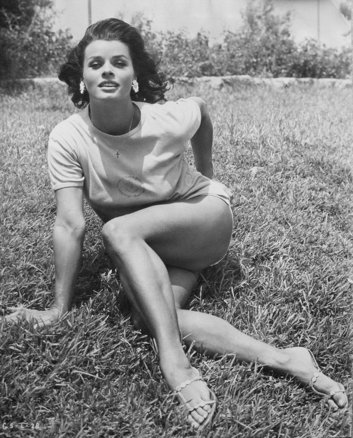 Vintage beauty. Senta Berger. Photo post - Actors and actresses, German cinema, The photo, Retro, beauty, Longpost