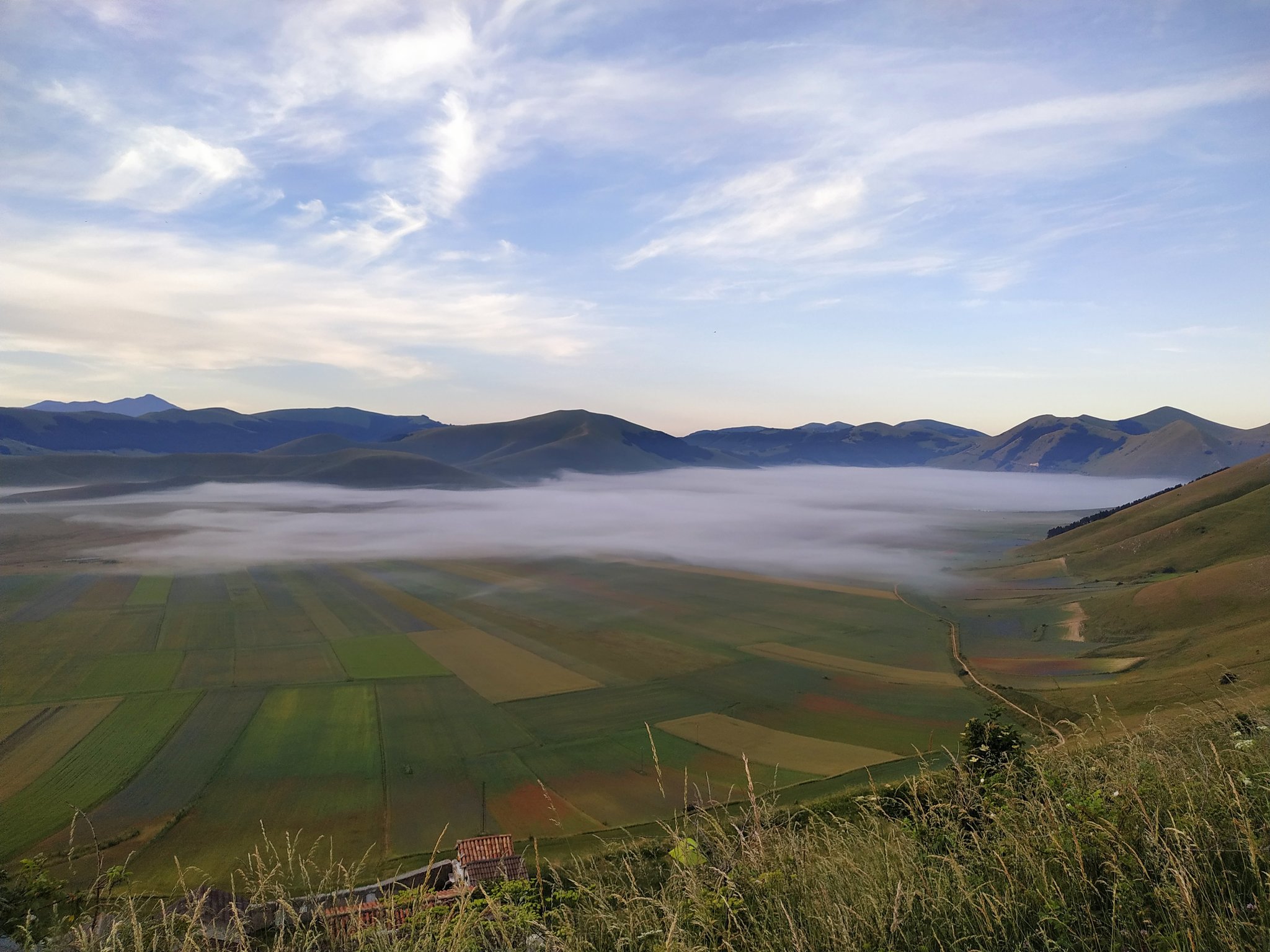 Fioritura Castelluccio: an incredible event in the center of Italy - My, Travels, Italy, Flowers, Wildflowers, The mountains, Umbria, The photo, Landscape, Video, Longpost