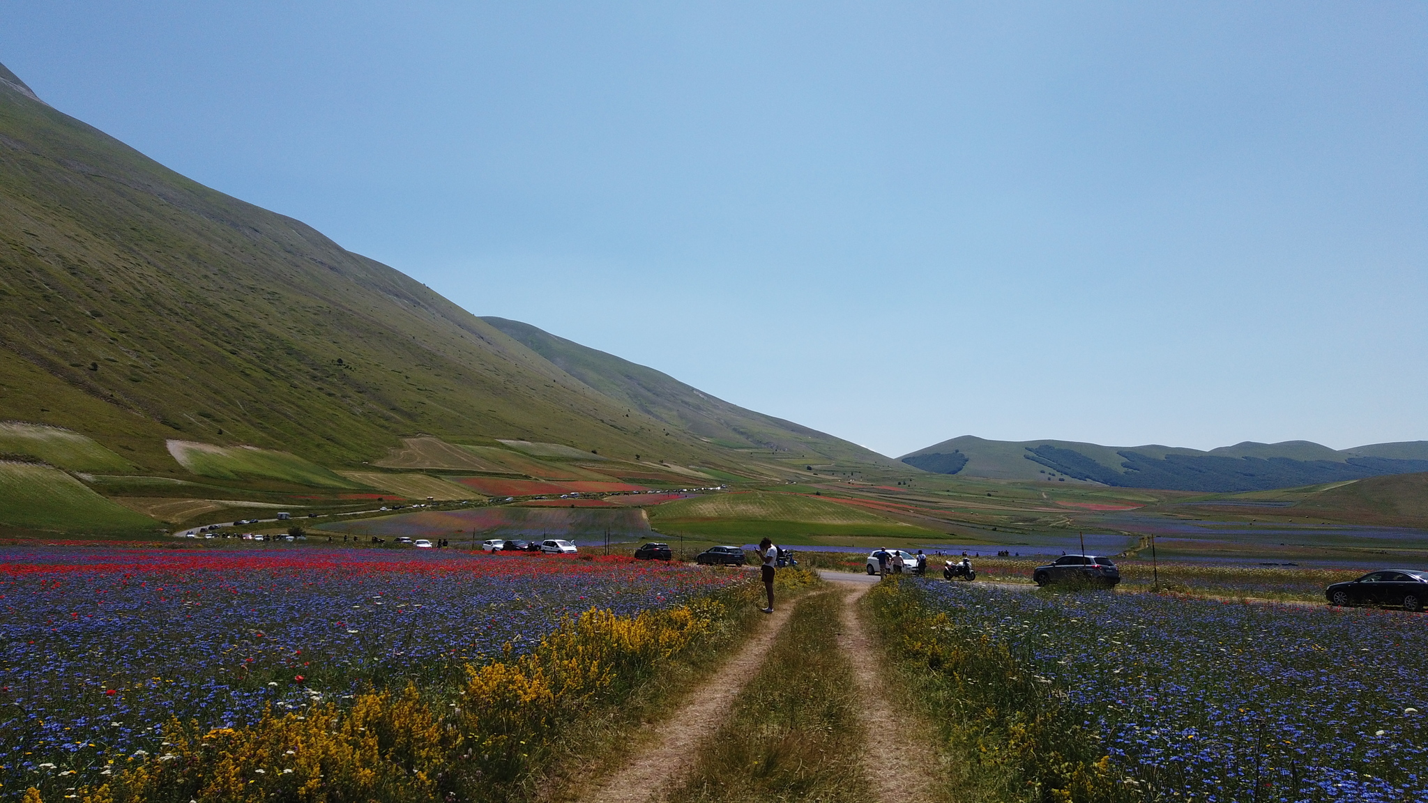 Fioritura Castelluccio: an incredible event in the center of Italy - My, Travels, Italy, Flowers, Wildflowers, The mountains, Umbria, The photo, Landscape, Video, Longpost