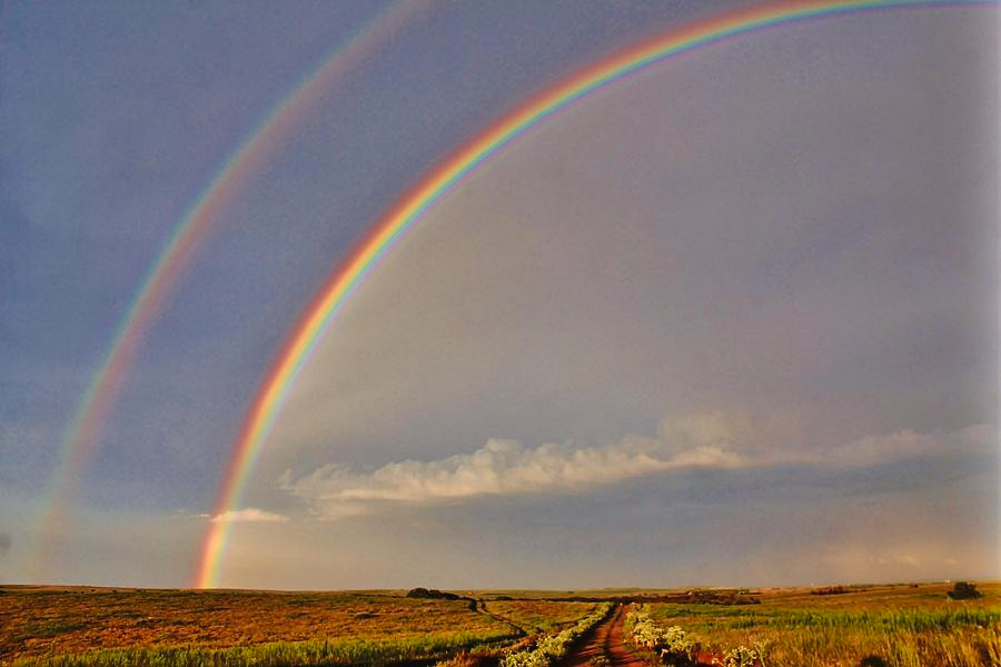 Rainbow - Радуга, Фотография