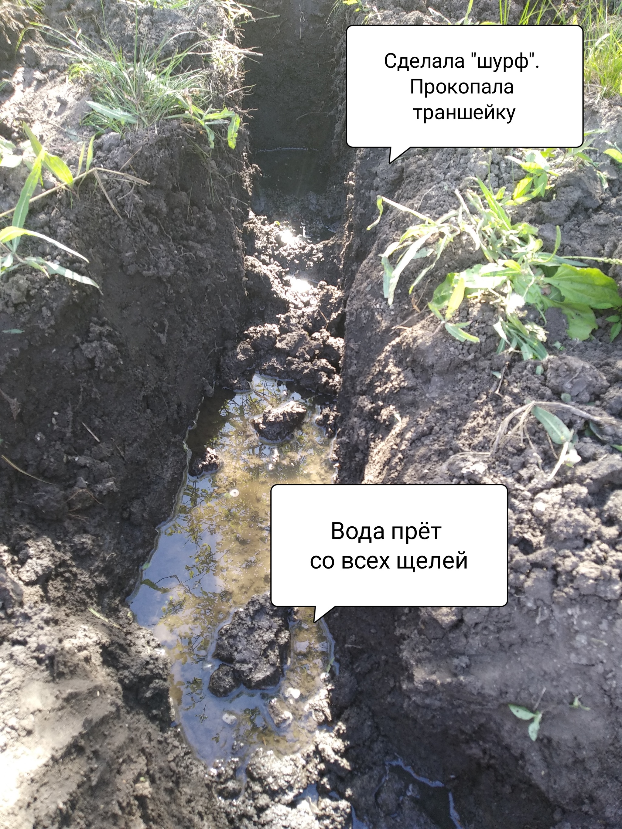 Diary of a Loser - My, Dacha, Drain, Drainage, Longpost