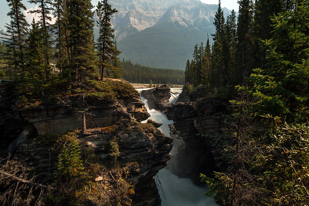 One of the most beautiful roads in the world - Icefields Parkway, Alberta, Canada - My, Canada, Alberta, Road, Travels, Wild animals, Lake, The mountains, Rocky Mountains, Longpost