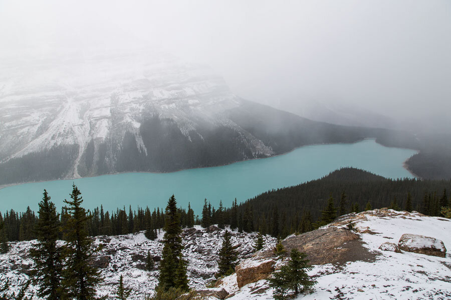 One of the most beautiful roads in the world - Icefields Parkway, Alberta, Canada - My, Canada, Alberta, Road, Travels, Wild animals, Lake, The mountains, Rocky Mountains, Longpost